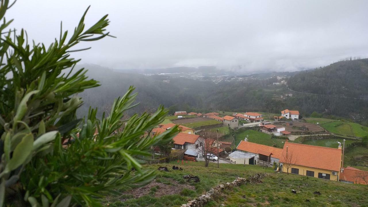 Вилла Casa Da Boa Vista Em Viadal Вали-ди-Камбра Экстерьер фото