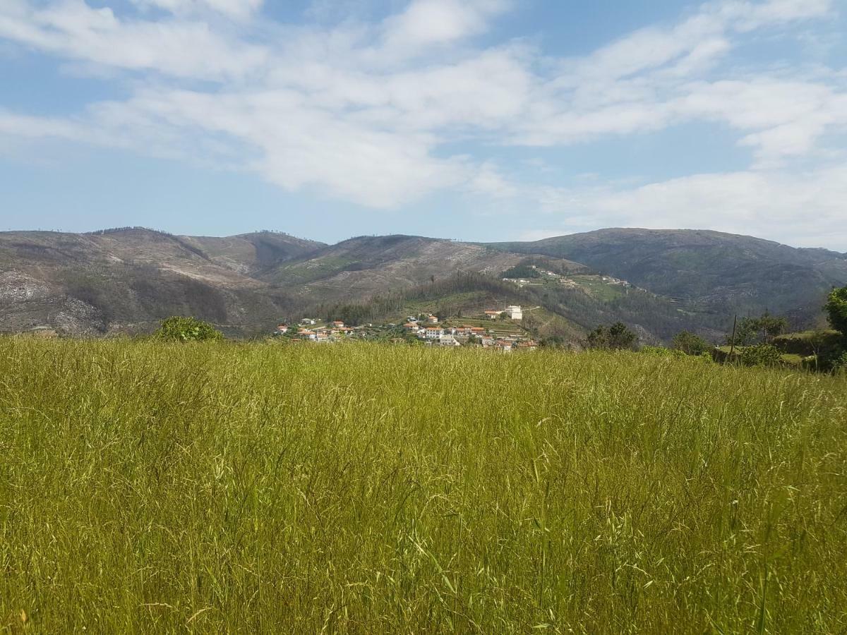 Вилла Casa Da Boa Vista Em Viadal Вали-ди-Камбра Экстерьер фото